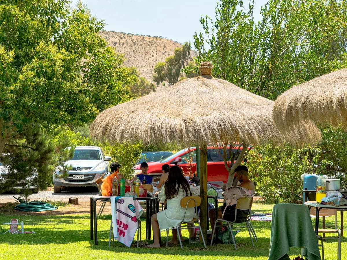 Instalaciones y áreas verdes de Piscina La Granja