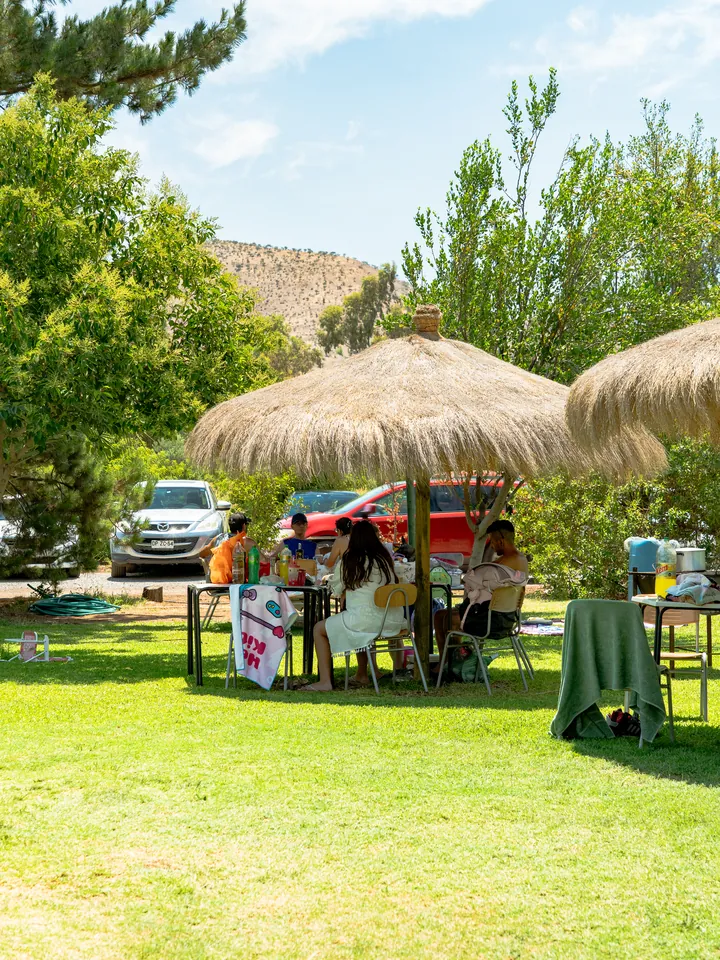 Piscina La Granja — instalaciones y eventos 6